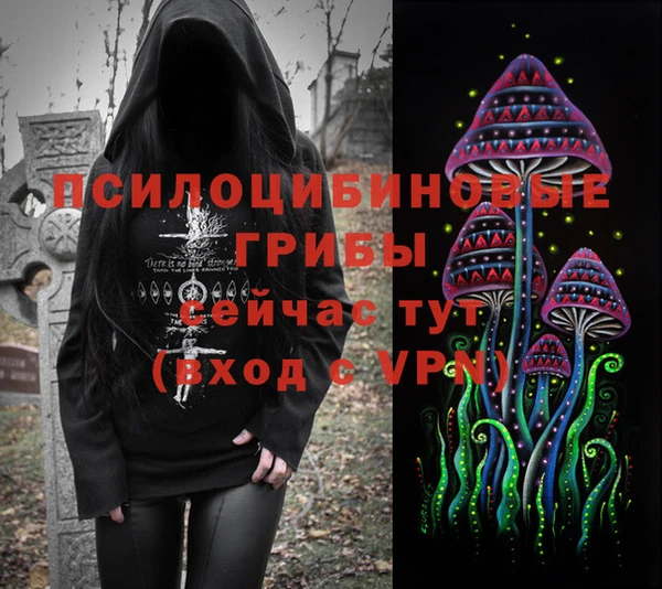 прущие крисы Вязники