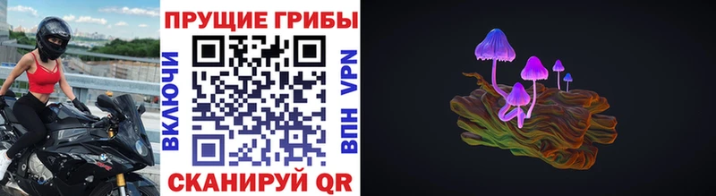 Купить закладки  Кохма  Галлюциногенные грибы Psilocybine cubensis 